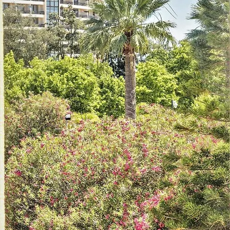 Catch - Appartement Vilamoura